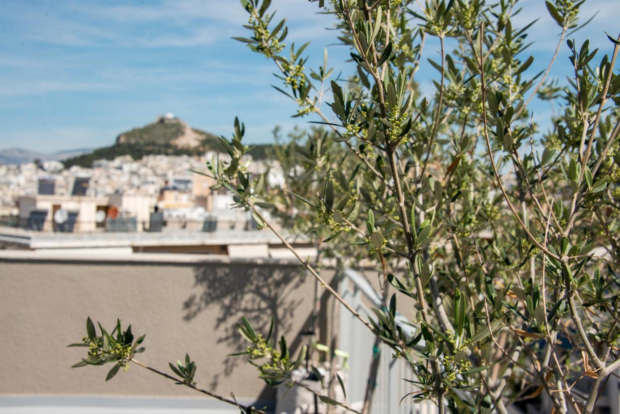 The Athenian Oasisアパートメント エクステリア 写真
